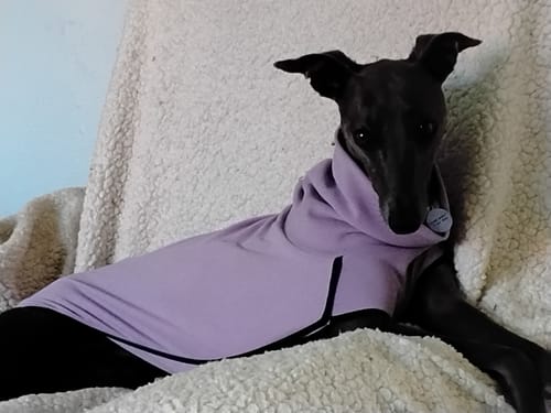 Customer photo review of Fleece Sighthound Base-Layer Coat with Underbelly and Snood