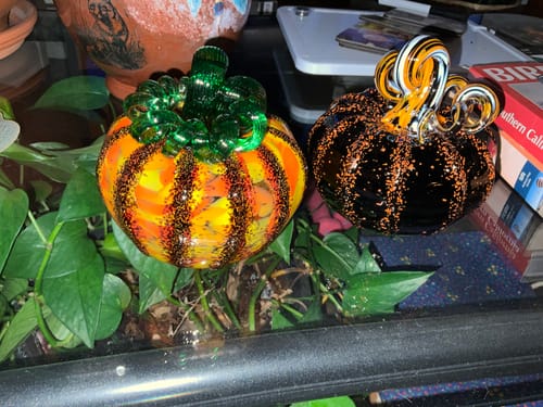 Customer photo review of Bewitched Squat Pumpkin
