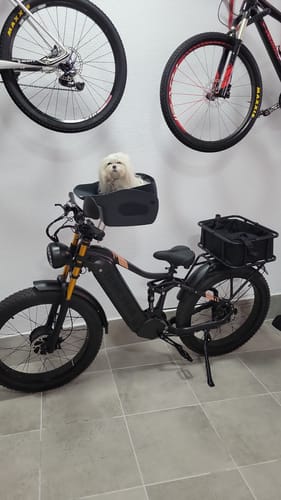 Customer photo review of Kvisp Dog Bike Carrier
