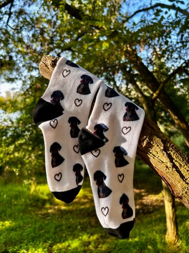 Zoe L. review of Personalisierte Socken mit deinem Haustier image 1 out of 1