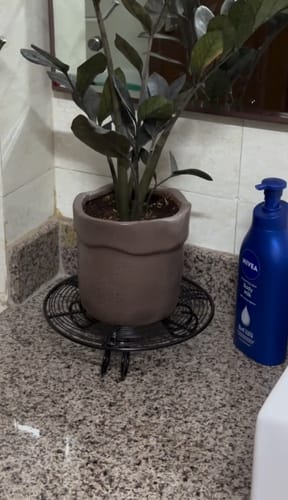 Customer photo review of TryGreen Vorn Metal Pot Stands for Planters