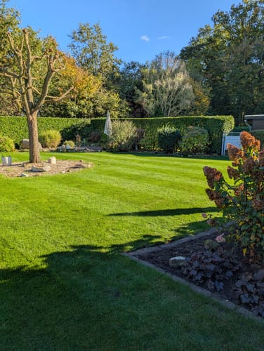 Customer photo review of Animatio® Herbst-Rasendünger