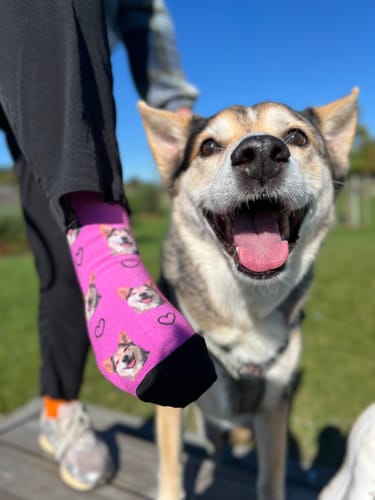 Luise R. review of Personalisierte Socken mit deinem Haustier image 1 out of 1