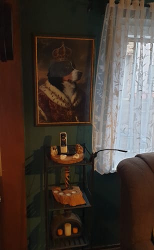 Customer photo review of Dein Hund als königliches Gemälde - Personalisiertes Poster