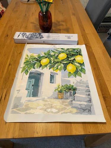 Customer photo review of Lemons in Mykonos | Paint by Number