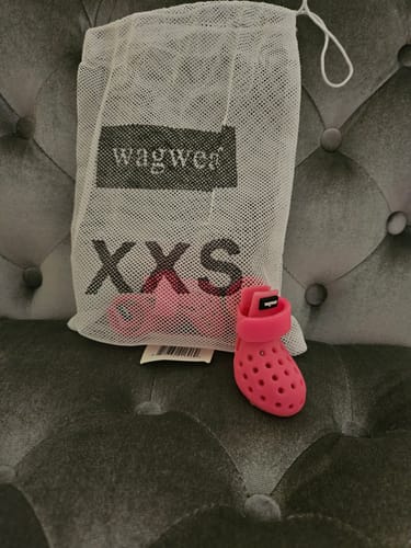 Customer photo review of WagWellies® Mojave