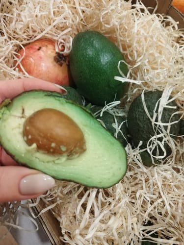 Customer photo review of Avocado Mix "Wild Wonders"