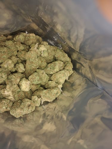 Customer photo review of OMNIA THCA Flower