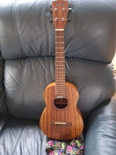 Customer photo review of BT-LG Worth Brown Tenor Low G Ukulele Strings TWO Restrings per Pack Fluorocarbon