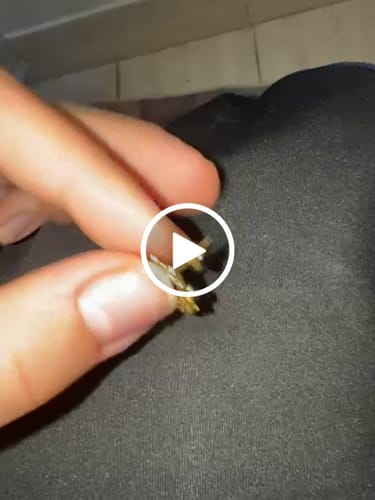 Customer video review of Crown of Thorns Earrings