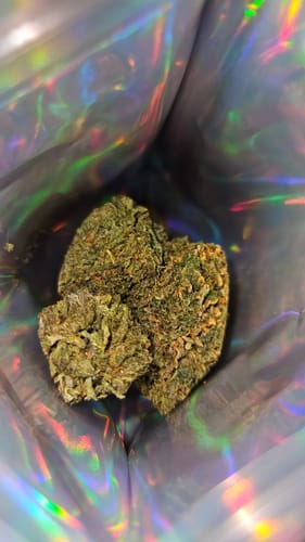 Customer photo review of Greenhouse Flower