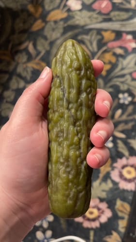 Customer photo review of Serpentine Pickle