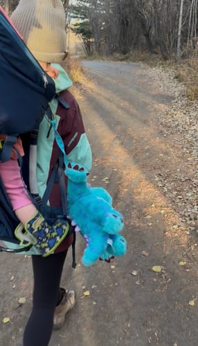 Customer photo review of Trail Tether: Hiking-Rated Pacifier Clip and Multi-Use Strap