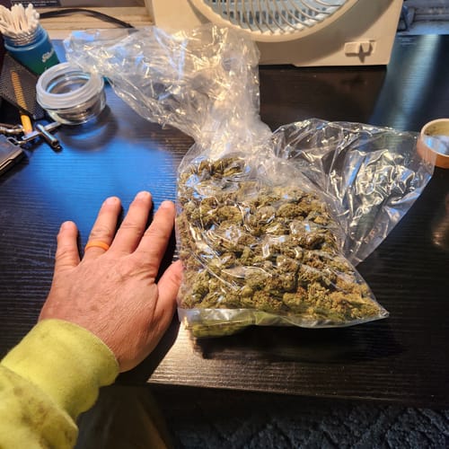 Customer photo review of Laughing Gas - Bulk - (Indica)