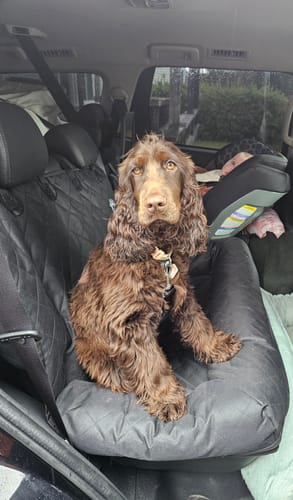 Customer photo review of Car Seat Cover