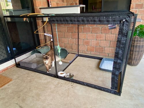 Customer photo review of The Cat Cabana Cat Enclosure 2.2m
