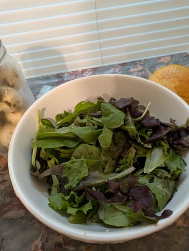 Ellen B. review of Mason Genie® Vacuum Sealer Kit image 1 out of 2