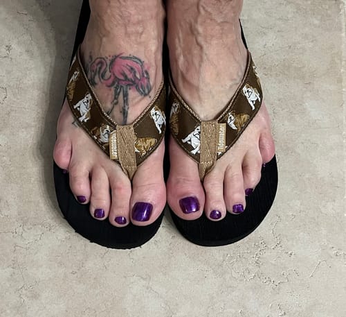 Customer photo review of English Bulldogs