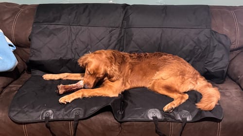 Customer photo review of Large Dog Black Friday Bundle II (4x 5oz Jerky Bags + 4x LARGE Smoked Marrow Bones)