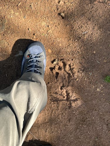 Customer photo review of Crispi Colorado II GTX Non-Insulated Hunting Boots