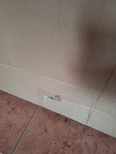 Customer photo review of Bicicleta Fija 13kg Ajustable Uso Rudo