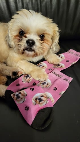 Iris R. review of Personalisierte Socken mit deinem Haustier image 1 out of 2