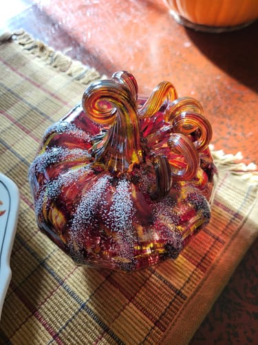 Customer photo review of Apple Cider Doughnut Squat Pumpkin