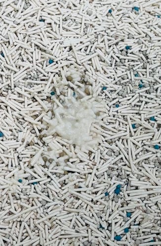 Customer photo review of Michu Mixed Tofu Cat Litter Lite 6L – Flushable, Eco-Friendly & Odour Control