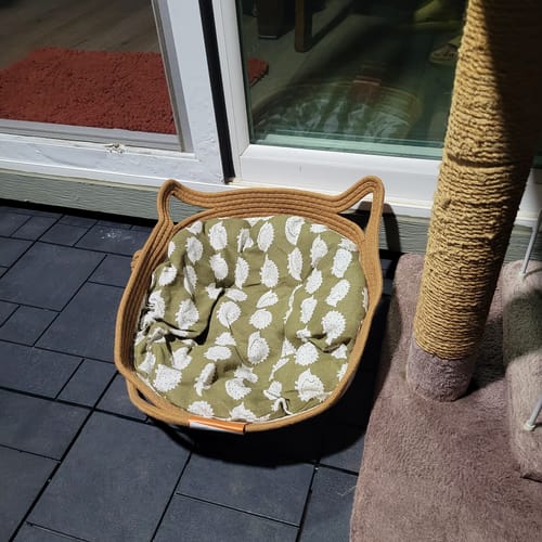 Customer photo review of Instinct Basket | Handwoven & Chemical-Free Cat Territory