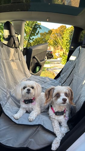 Customer photo review of Rear Seat Cover for Fold Down Seats with Hammock - Regular