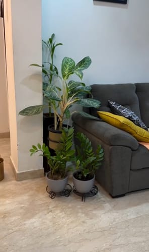 Customer photo review of TryGreen Vorn Metal Pot Stands for Planters