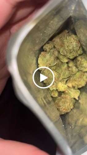 Vladimir G. review of Greenhouse THCa Flower image 1 out of 1