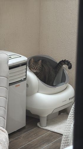 Customer photo review of Neakasa M1 Lite Automatische Katzentoilette