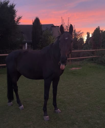 Customer photo review of Kristallkraft Coolly