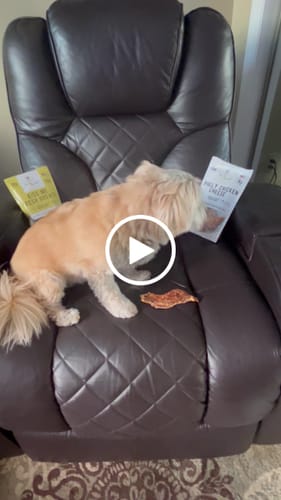 Customer video review of 4 Pack of Treats