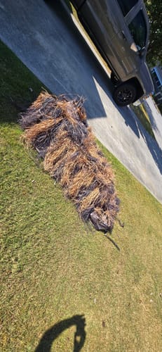 Customer photo review of Hunting Blind Raffia Grass (Individual)