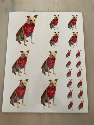 Customer photo review of Sticker Sheet