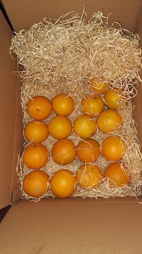 Customer photo review of Saft-Orangen Bio Sonderaktionspreis