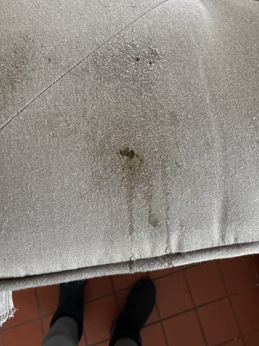 Customer photo review of Green Mitt Kit