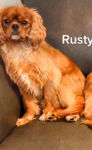 Customer photo review of DA-1™ Daily All-in-One Complete Care