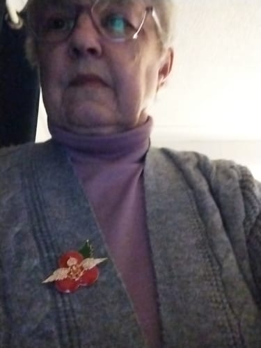 Mrs review of RAF Wings Poppy Brooch image 1 out of 1