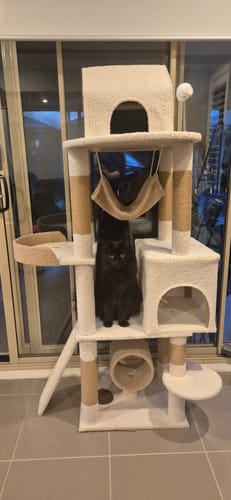 Customer photo review of Ona's Cottage Multi-Tier Cat Tree with Cat Scratching Posts