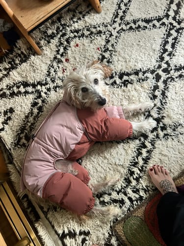 Customer photo review of Autumn Breeze Outdoor Suit