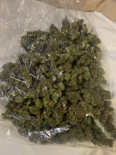 Customer photo review of OG Kush - Bulk - (Indica)