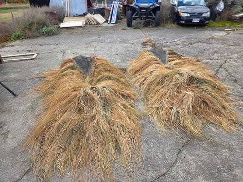 Customer photo review of Hunting Blind Raffia Grass (Pack)
