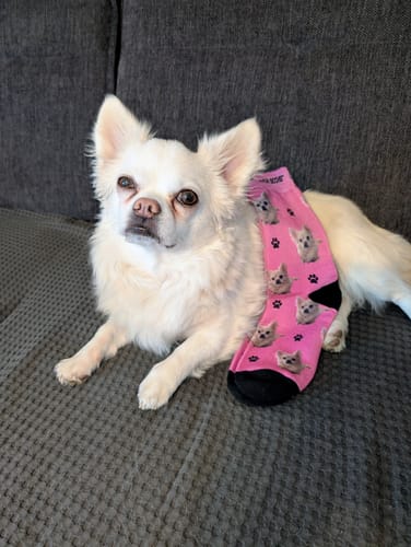 Ronny W. review of Personalisierte Socken mit deinem Haustier image 1 out of 1