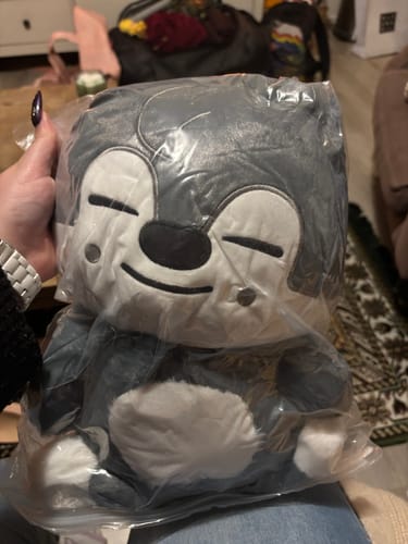 Customer photo review of SKZ Teddybear Plush