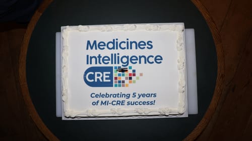 Customer photo review of A3 Rectangle Custom Edible Icing Image