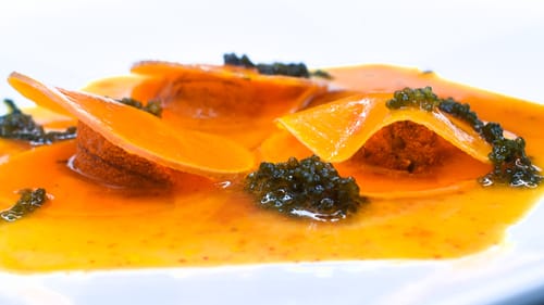 Customer photo review of Live Maine Urchin