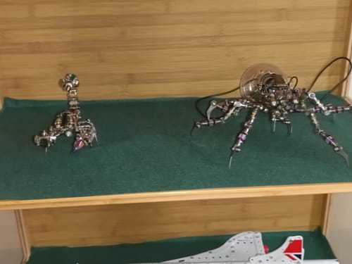 Customer photo review of Rage Scorpion